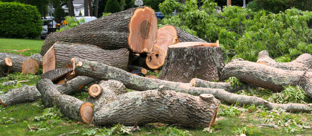 Leaf Removal in Ashland, IL